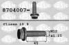 Riemenscheibenschraube SASIC 8704007