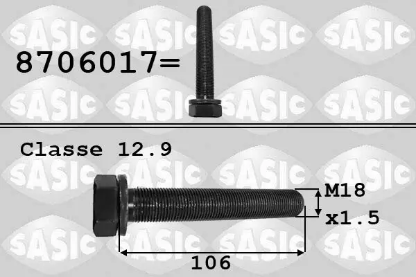 Riemenscheibenschraube SASIC 8706017