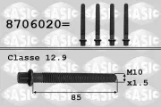 Riemenscheibenschraube SASIC 8706020