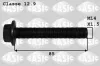 Riemenscheibenschraube SASIC 8706021