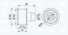 Umlenk-/Führungsrolle, Zahnriemen IPD 15-0440 Bild Umlenk-/Führungsrolle, Zahnriemen IPD 15-0440