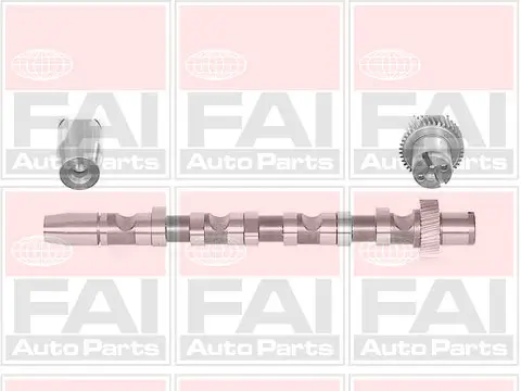 Nockenwelle FAI AutoParts C244 Bild Nockenwelle FAI AutoParts C244