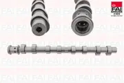 Nockenwelle FAI AutoParts C576