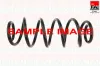 Fahrwerksfeder Vorderachse FAI AutoParts SP299