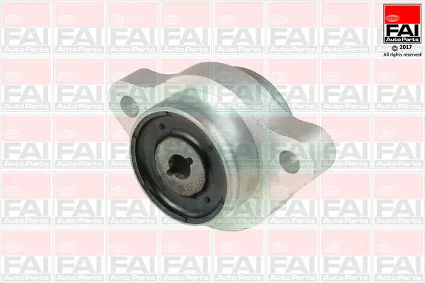 Lagerung, Lenker Vorderachse rechts hinten FAI AutoParts SS9195