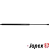Gasfeder, Koffer-/Laderaum hinten JP GROUP 1181213100
