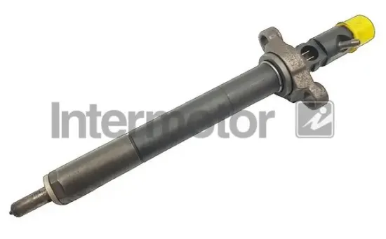 Düsenstock INTERMOTOR 87195 Bild Düsenstock INTERMOTOR 87195