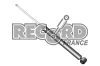 Sto&szlig;d&auml;mpfer Hinterachse RECORD FRANCE 104164