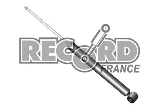 Stoßdämpfer Hinterachse RECORD FRANCE 104164 Bild Stoßdämpfer Hinterachse RECORD FRANCE 104164