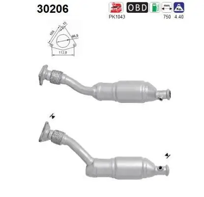 Katalysator AS 30206 Bild Katalysator AS 30206