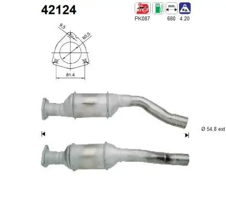 Katalysator AS 42124