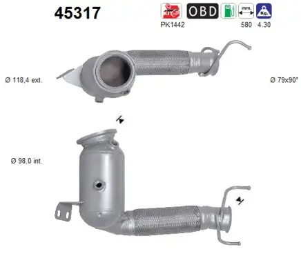Katalysator AS 45317