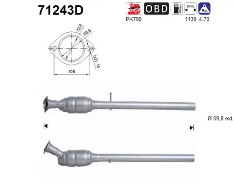 Katalysator AS 71243D