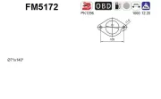 Ruß-/Partikelfilter, Abgasanlage AS FM5172