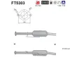 Ru&szlig;-/Partikelfilter, Abgasanlage AS FT5303