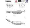 Ru&szlig;-/Partikelfilter, Abgasanlage AS FD5109