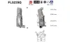 Ru&szlig;-/Partikelfilter, Abgasanlage AS FL5235Q