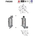 Ruß-/Partikelfilter, Abgasanlage AS FN5265