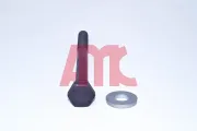 Zylinderkopfschraubensatz AMC 258022
