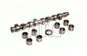 Nockenwellensatz AMC 613203K