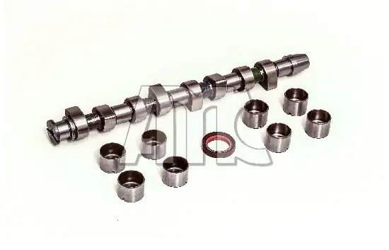 Nockenwellensatz AMC 613203K Bild Nockenwellensatz AMC 613203K