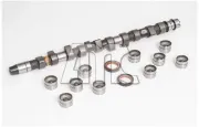 Nockenwellensatz AMC 647030K