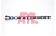 Nockenwelle Einlassseite AMC 647271