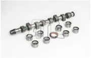 Nockenwellensatz AMC 653863K