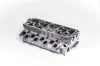 Zylinderkopf AMC 908828 Bild Zylinderkopf AMC 908828