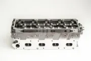 Zylinderkopf AMC 908956K