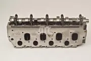 Zylinderkopf AMC 909120