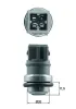 Sensor, Kühlmitteltemperatur MAHLE TSE 31 Bild Sensor, Kühlmitteltemperatur MAHLE TSE 31