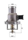 Thermostat, Kühlmittel MAHLE TM 55 105