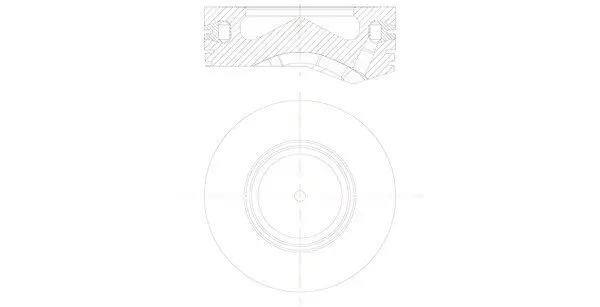 Kolben MAHLE 081 PI 00105 000