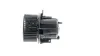 Innenraumgebläse 12 V MAHLE AB 123 000P Bild Innenraumgebläse 12 V MAHLE AB 123 000P
