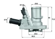 Thermostat, Kühlmittel MAHLE TI 144 88