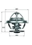 Thermostat, Kühlmittel MAHLE TX 19 75D