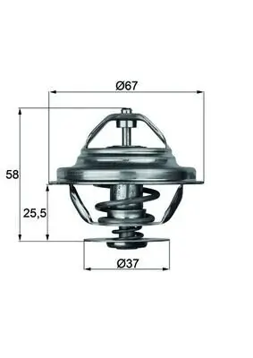 Thermostat, Kühlmittel MAHLE TX 20 80D