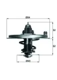 Thermostat, Kühlmittel MAHLE TX 36 71D