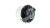 Innenraumgebläse 12 V MAHLE AB 239 000P Bild Innenraumgebläse 12 V MAHLE AB 239 000P