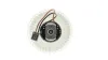 Innenraumgebläse 12 V MAHLE AB 22 000P Bild Innenraumgebläse 12 V MAHLE AB 22 000P