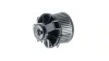Innenraumgebläse 12 V MAHLE AB 66 000P Bild Innenraumgebläse 12 V MAHLE AB 66 000P