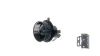 Innenraumgebläse 12 V MAHLE AB 325 000S Bild Innenraumgebläse 12 V MAHLE AB 325 000S