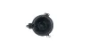 Innenraumgebläse 12 V MAHLE AB 344 000S