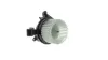 Innenraumgebläse 12 V MAHLE AB 383 000S Bild Innenraumgebläse 12 V MAHLE AB 383 000S