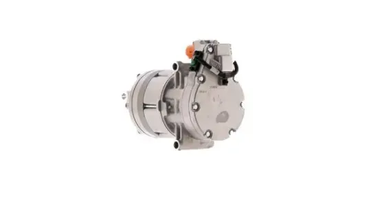 Kompressor, Klimaanlage MAHLE ACP 1689 000P Bild Kompressor, Klimaanlage MAHLE ACP 1689 000P