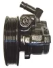 Hydraulikpumpe, Lenkung LIZARTE 04.05.1049-1