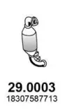 Katalysator vorne ASSO 29.0003