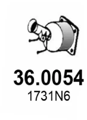 Katalysator vorne ASSO 36.0054