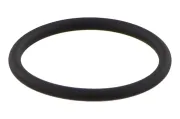 Dichtung, Düsenhalter TOPRAN 116 555